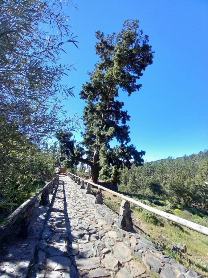 Apto. Pina De Mar Costa Adeje  Exteriör bild