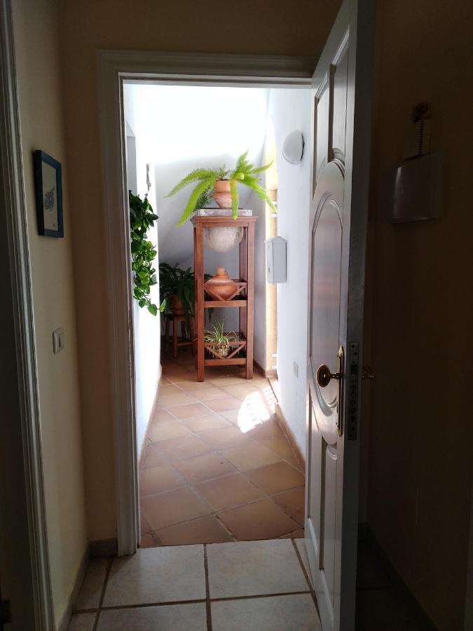 Apto. Pina De Mar Costa Adeje  Exteriör bild